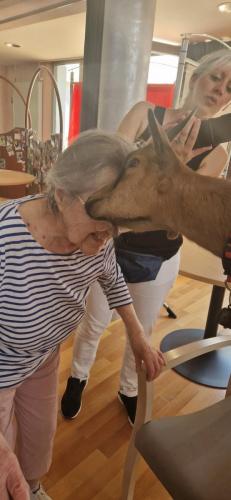 WhatsApp Image 2024-08-06 at 14.00.39