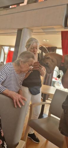 WhatsApp Image 2024-08-06 at 14.00.41