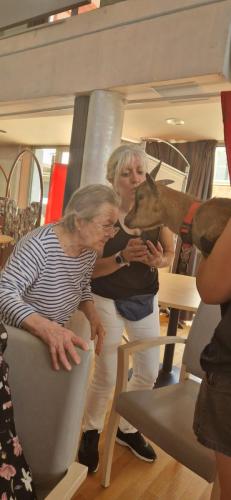 WhatsApp Image 2024-08-06 at 14.00.50