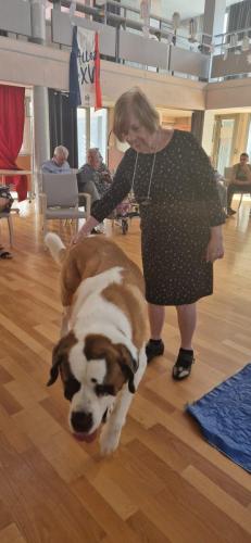 WhatsApp Image 2024-08-06 at 14.00.55