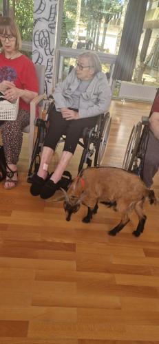 WhatsApp Image 2024-08-06 at 14.01.02