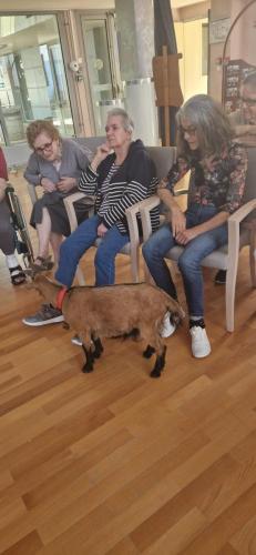 WhatsApp Image 2024-08-06 at 14.01.07