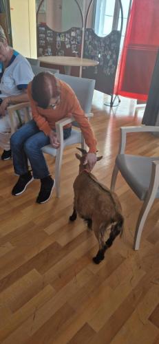 WhatsApp Image 2024-08-06 at 14.01.12