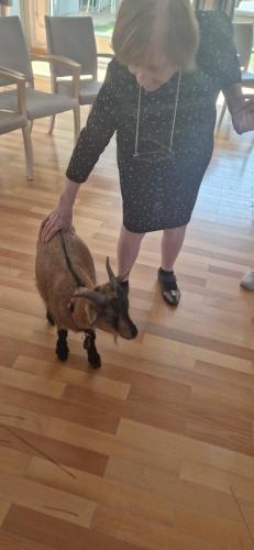 WhatsApp Image 2024-08-06 at 14.01.16