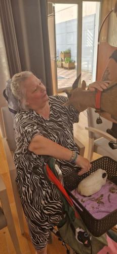 WhatsApp Image 2024-08-06 at 14.01.32