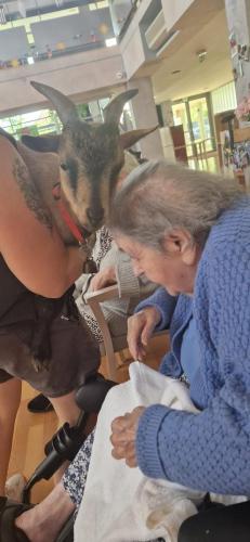 WhatsApp Image 2024-08-06 at 14.01.34 (1)