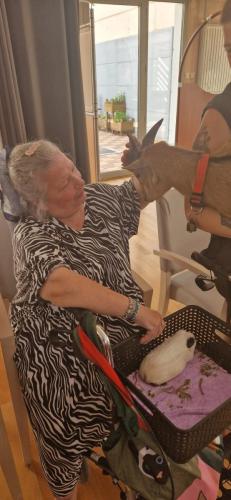 WhatsApp Image 2024-08-06 at 14.01.34