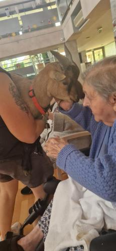 WhatsApp Image 2024-08-06 at 14.01.36