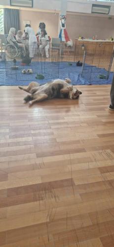 WhatsApp Image 2024-08-06 at 14.01.40