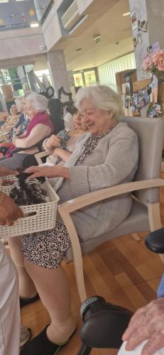 WhatsApp Image 2024-08-06 at 14.01.45