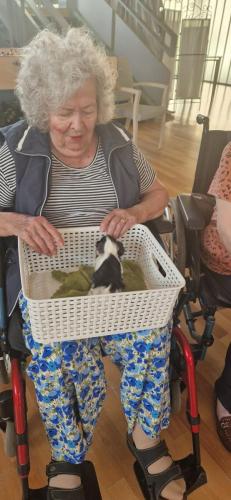 WhatsApp Image 2024-08-06 at 14.01.46