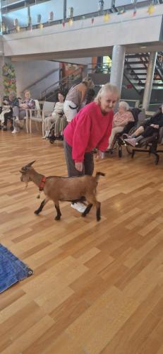 WhatsApp Image 2024-08-06 at 14.01.47 (2)