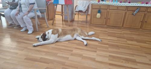 WhatsApp Image 2024-08-06 at 14.01.47 (3)