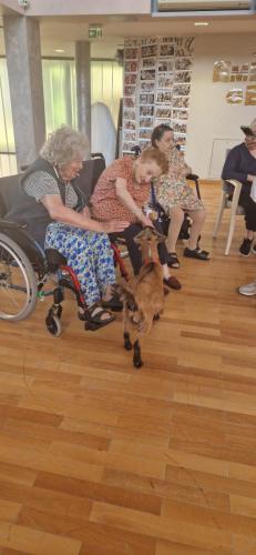 WhatsApp Image 2024-08-06 at 14.01.48 (1)