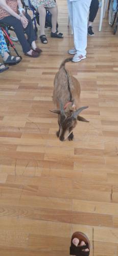 WhatsApp Image 2024-08-06 at 14.01.48