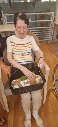 WhatsApp Image 2024-08-06 at 14.01.49 (1)