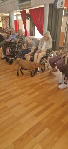 WhatsApp Image 2024-08-06 at 14.01.49 (2)