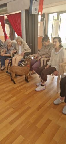 WhatsApp Image 2024-08-06 at 14.01.49