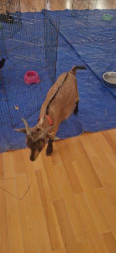 WhatsApp Image 2024-08-06 at 14.01.50 (1)