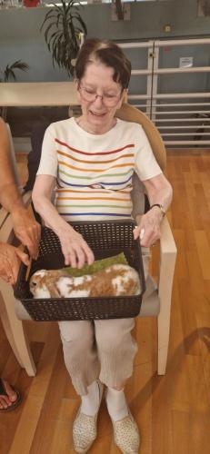 WhatsApp Image 2024-08-06 at 14.01.50