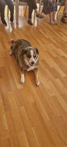 WhatsApp Image 2024-08-06 at 14.01.51 (1)