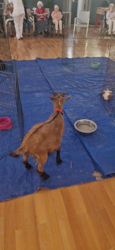 WhatsApp Image 2024-08-06 at 14.01.51