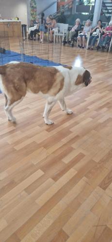 WhatsApp Image 2024-08-06 at 14.01.53