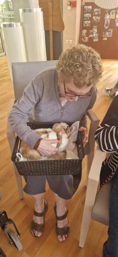 WhatsApp Image 2024-08-06 at 14.01.54