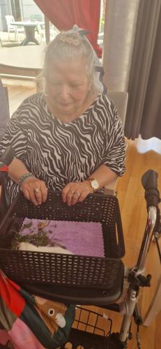 WhatsApp Image 2024-08-06 at 14.01.56 (1)