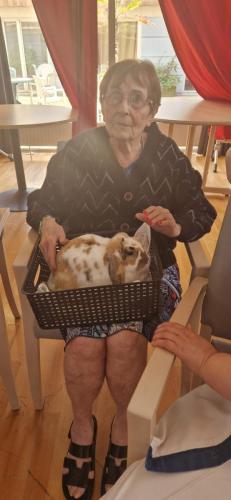 WhatsApp Image 2024-08-06 at 14.01.57 (1)