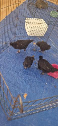 WhatsApp Image 2024-08-06 at 14.01.57 (2)