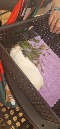 WhatsApp Image 2024-08-06 at 14.01.57