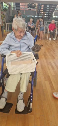 WhatsApp Image 2024-08-06 at 14.01.58 (1)