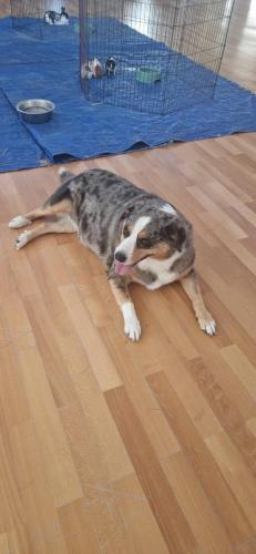 WhatsApp Image 2024-08-06 at 14.01.58