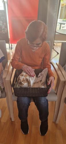 WhatsApp Image 2024-08-06 at 14.01.59 (1)