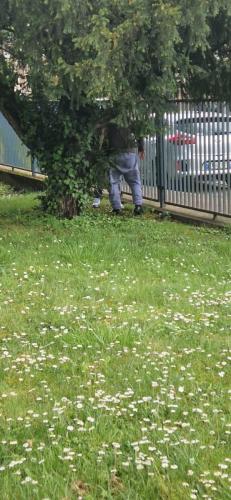 WhatsApp Image 2025-04-24 at 17.28.33 (3)