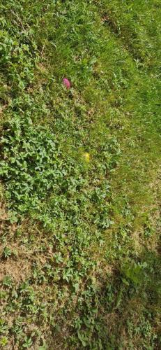 WhatsApp Image 2025-04-24 at 17.28.34 (4)