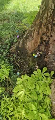 WhatsApp Image 2025-04-24 at 17.28.34 (5)