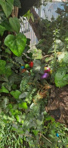 WhatsApp Image 2025-04-24 at 17.28.35 (1)