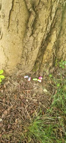 WhatsApp Image 2025-04-24 at 17.28.35