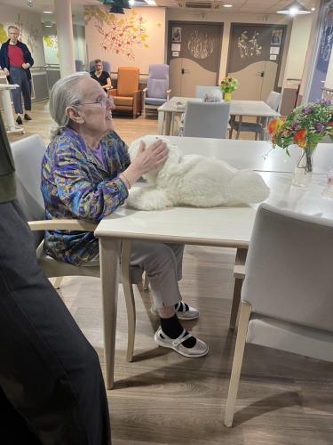 9291801E-1158-4DAE-AB47-4F65F465D652